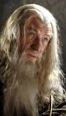 gandalf.JPG.f5cb9953df6a5028be5ec915d32c9693.JPG