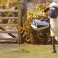 ShaunTheSheep