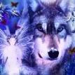 Silberwolf