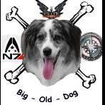 Old-Dog